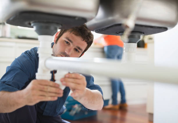 Best Clogged Drain Plumber  in Estill, SC