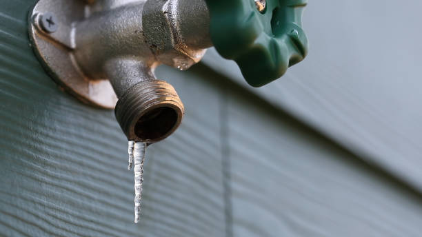 Best Emergency Plumbing Repair  in Estill, SC